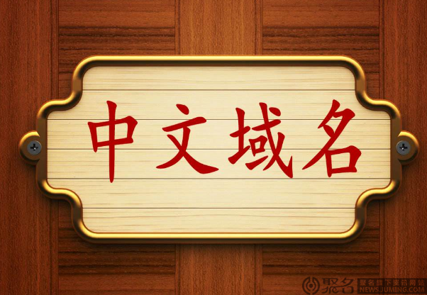 中文域名泛指含有中文字元的域名，包括国际化域名 （IDN），可含有中文字的域名，例如新华网。cn 等；国际化国家及地区顶级域，可含有中文字的顶级域。
