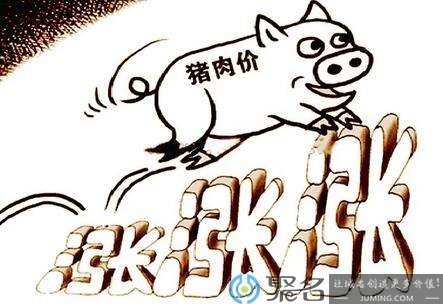 猪肉太贵！“人造肉”横空出世！试问你敢吃吗？