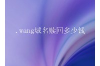 .wang域名