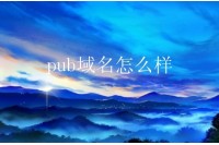 pub域名怎么样