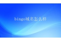 bingo域名怎么样