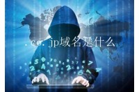 .co.jp域名