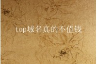 top域名申请