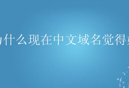 收录域名中文怎么写_中文域名收录效果_中文域名收录