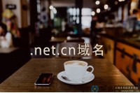 .net.cn域名