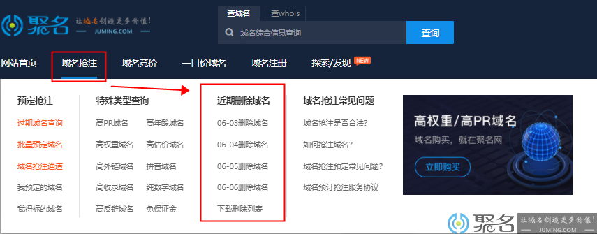 聚名网域名抢注