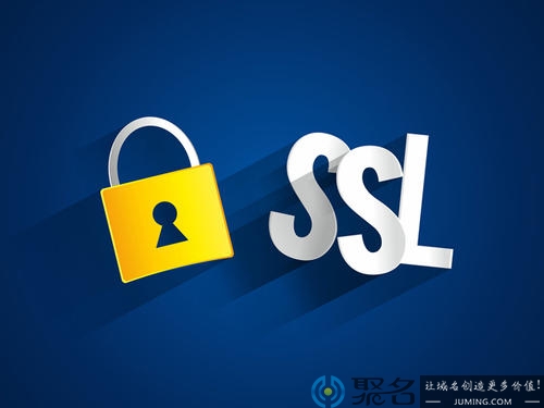 IP SSL证书