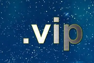 .vip域名是什么意思？
