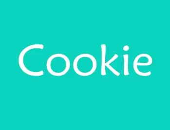 cookie是什么意思?