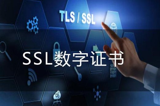 ssl数字证书有哪些？如何选择ssl数字证书？
