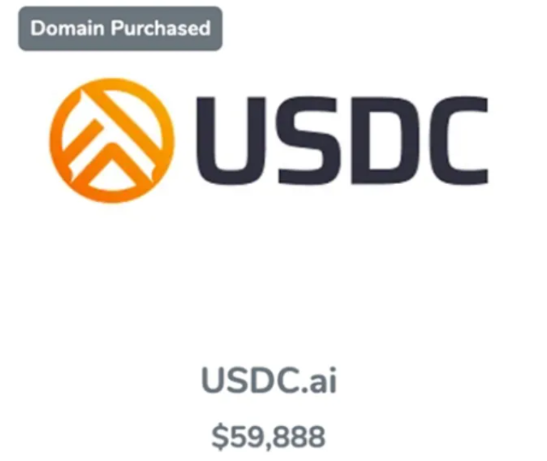 AI金融域名USDC.ai以59888美元成交：兩年投資回報(bào)率超300倍