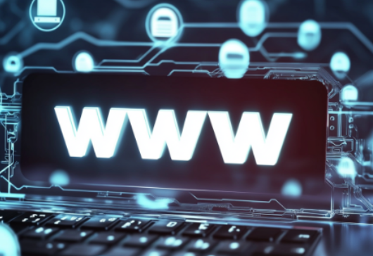 什么是自定义域名?