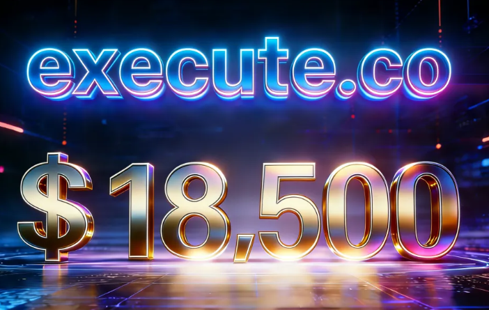 execute.co以18500美元成交：为“执行力”标价的顶级数字资产